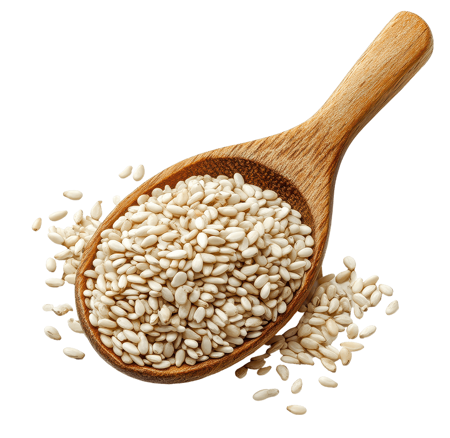 Keswani%20Rice%20Mills